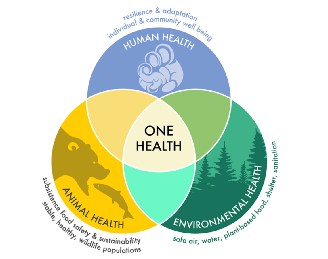 One Health: Exploring the Intersection of Animal, Human, and